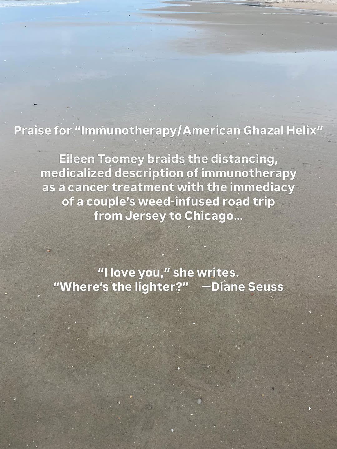 Beach with Diane Seuss praise quote